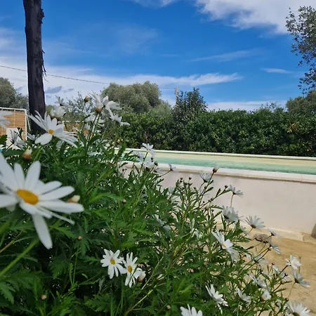 Apartment Passa Da Nunu