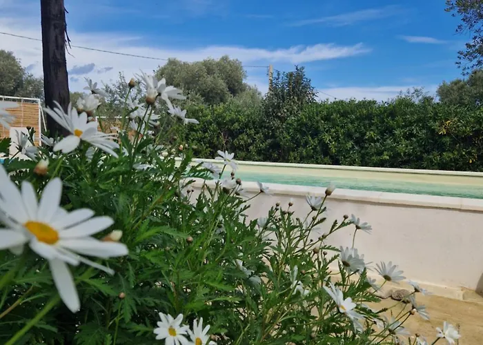 Appartement Passa Da Nunu